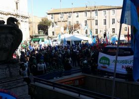 Manifestazione Nazionale  28.11.2015